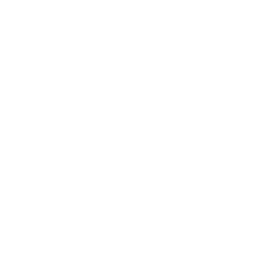 tournament